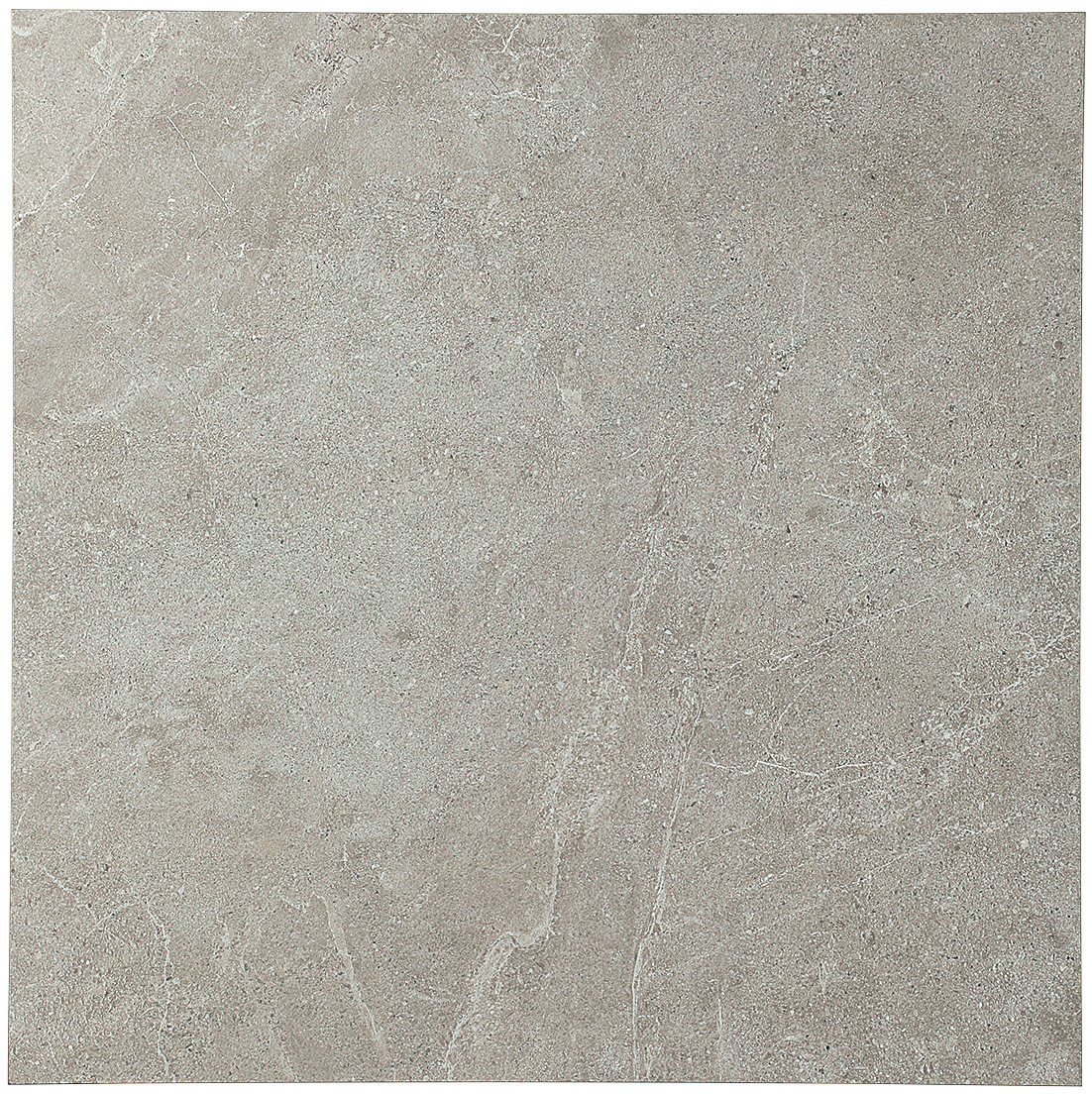 エボリューション　グレー　600角