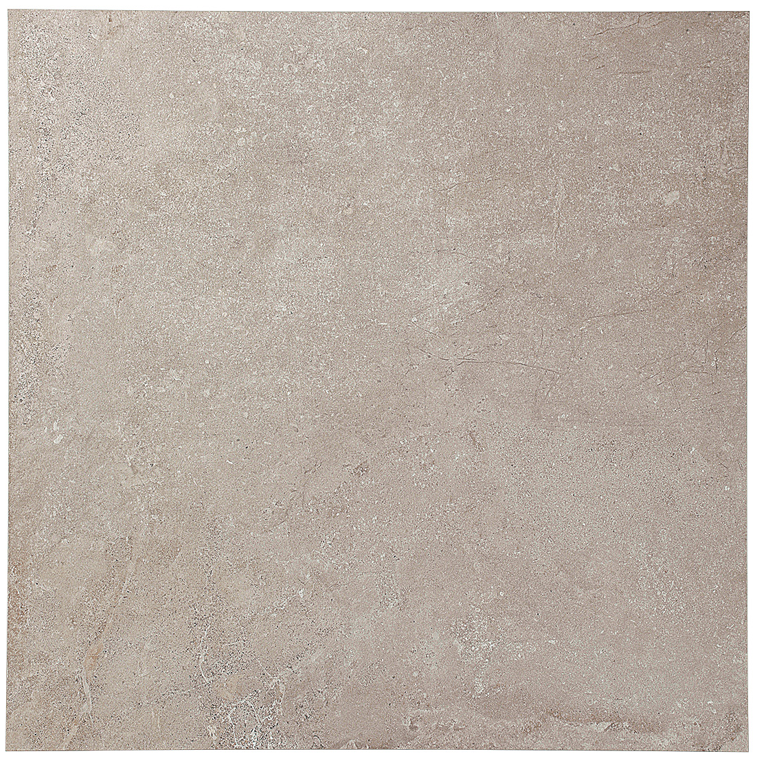 エボリューション　シュガーグレー