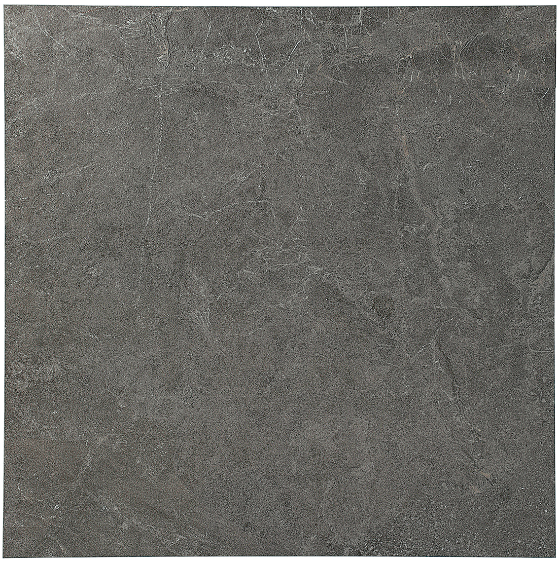 エボリューション　ブラック　600角