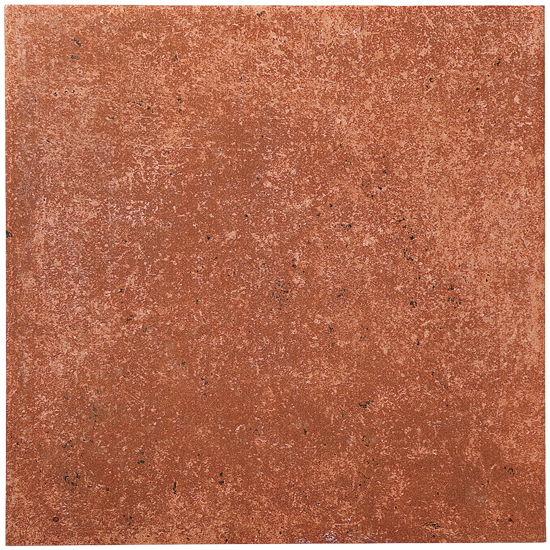 ニューアモーリ　ローズ